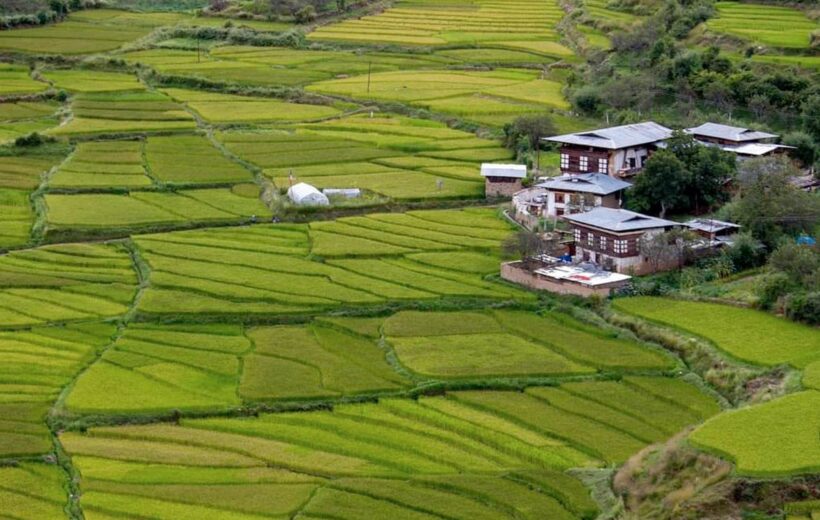 Authentic Bhutan Homestay (9 Days and 8 Nights)